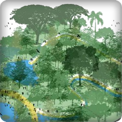 tipe a - Rimba Kota